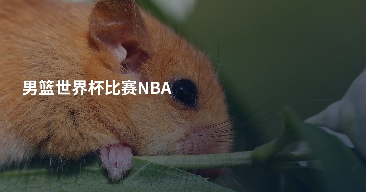 男篮世界杯比赛NBA