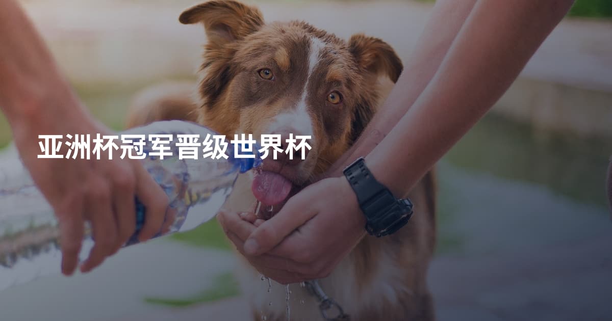 亚洲杯冠军晋级世界杯
