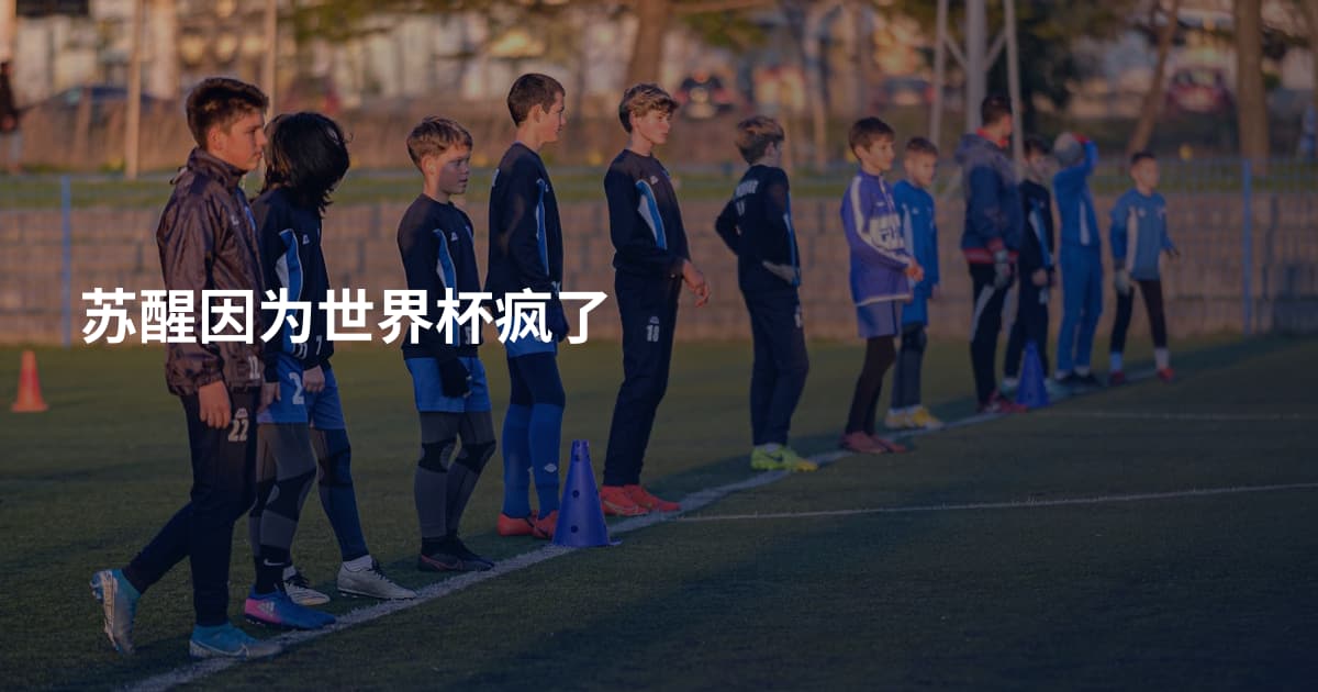 苏醒因为世界杯疯了