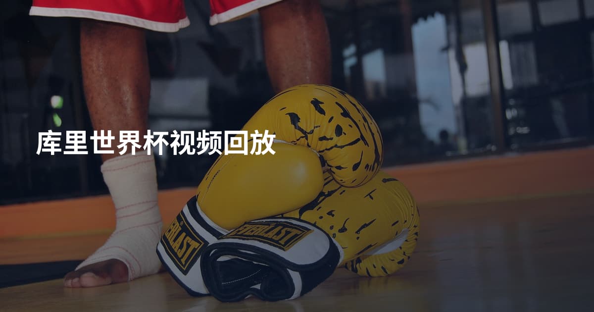 库里世界杯视频回放