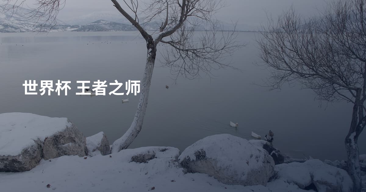 世界杯 王者之师