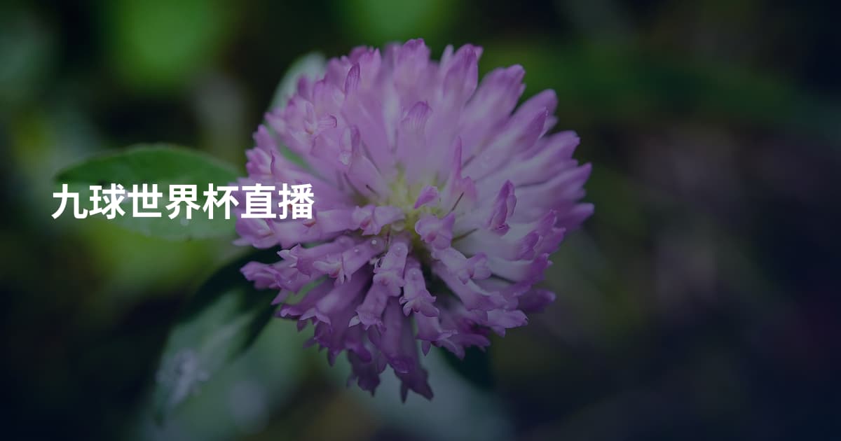 九球世界杯直播