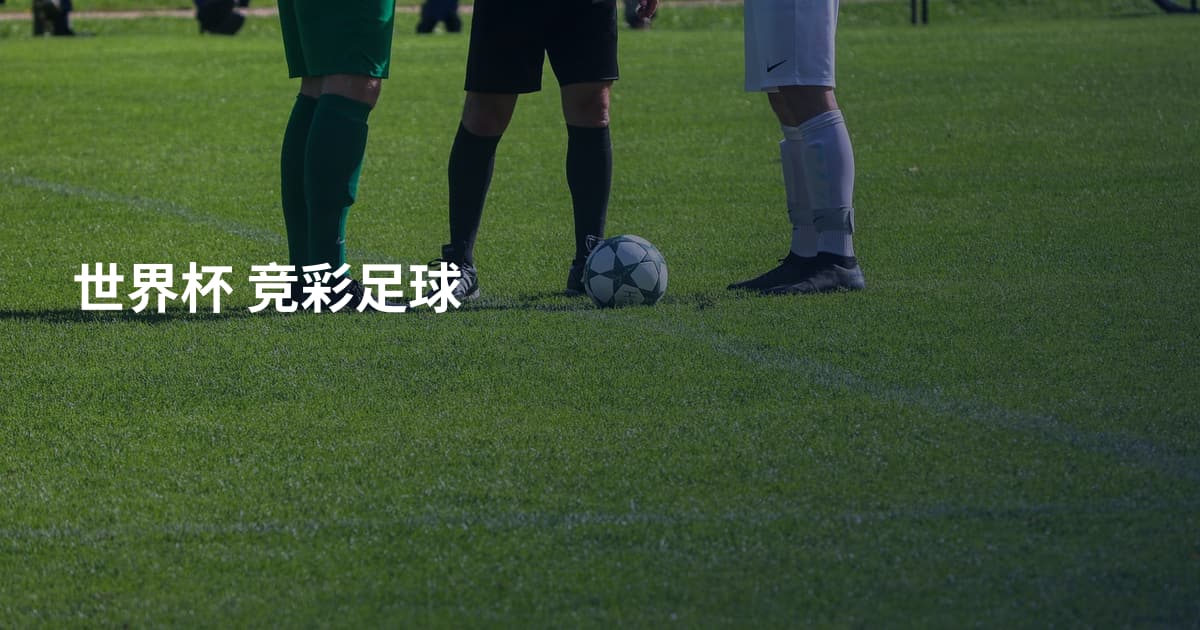 世界杯 竞彩足球
