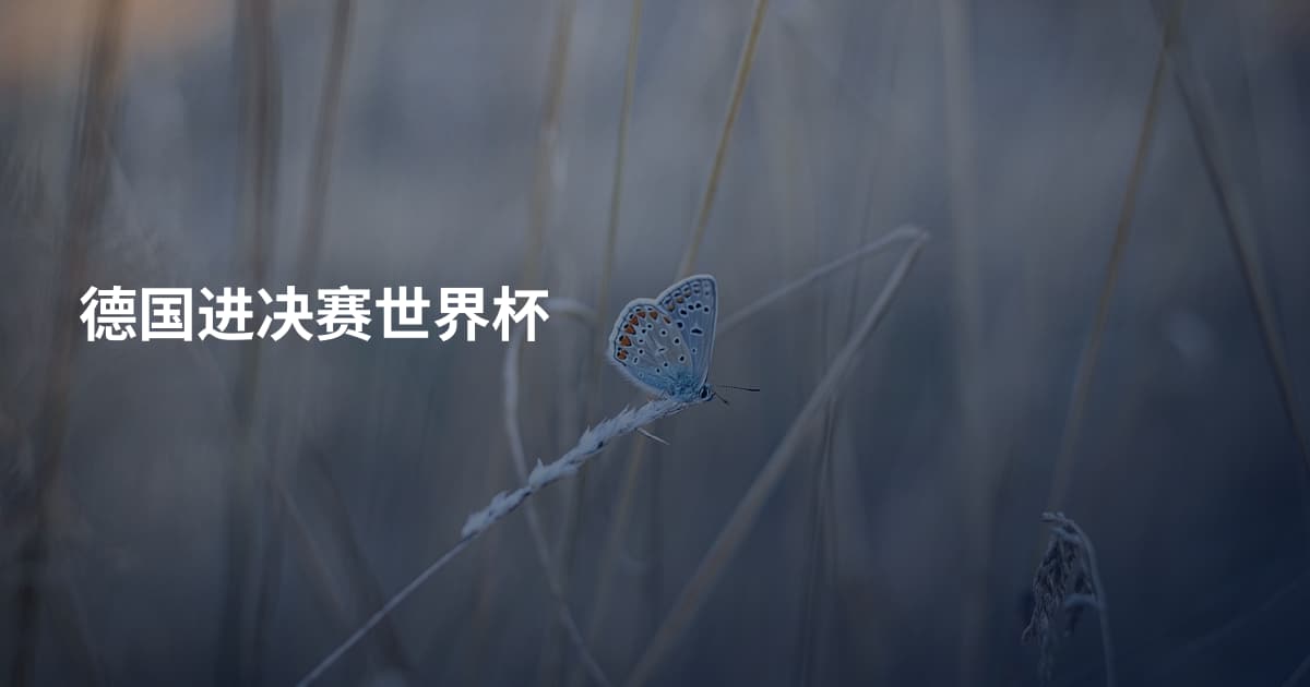 德国进决赛世界杯