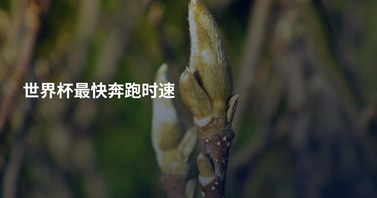 世界杯最快奔跑时速