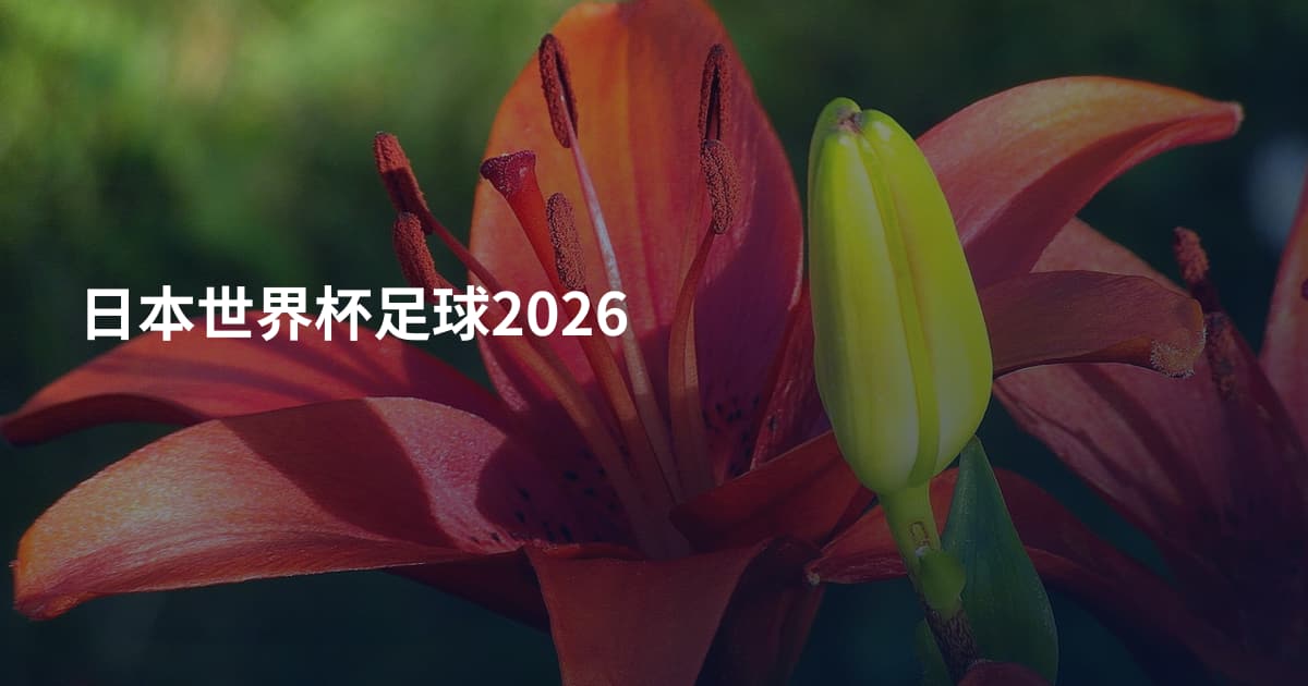 日本世界杯足球2026