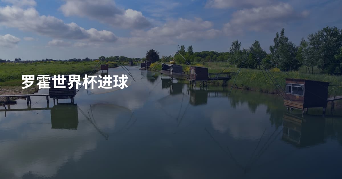 罗霍世界杯进球