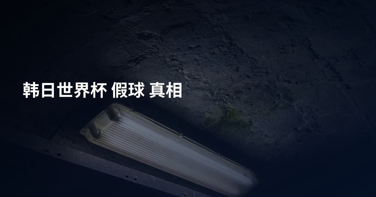 韩日世界杯 假球 真相