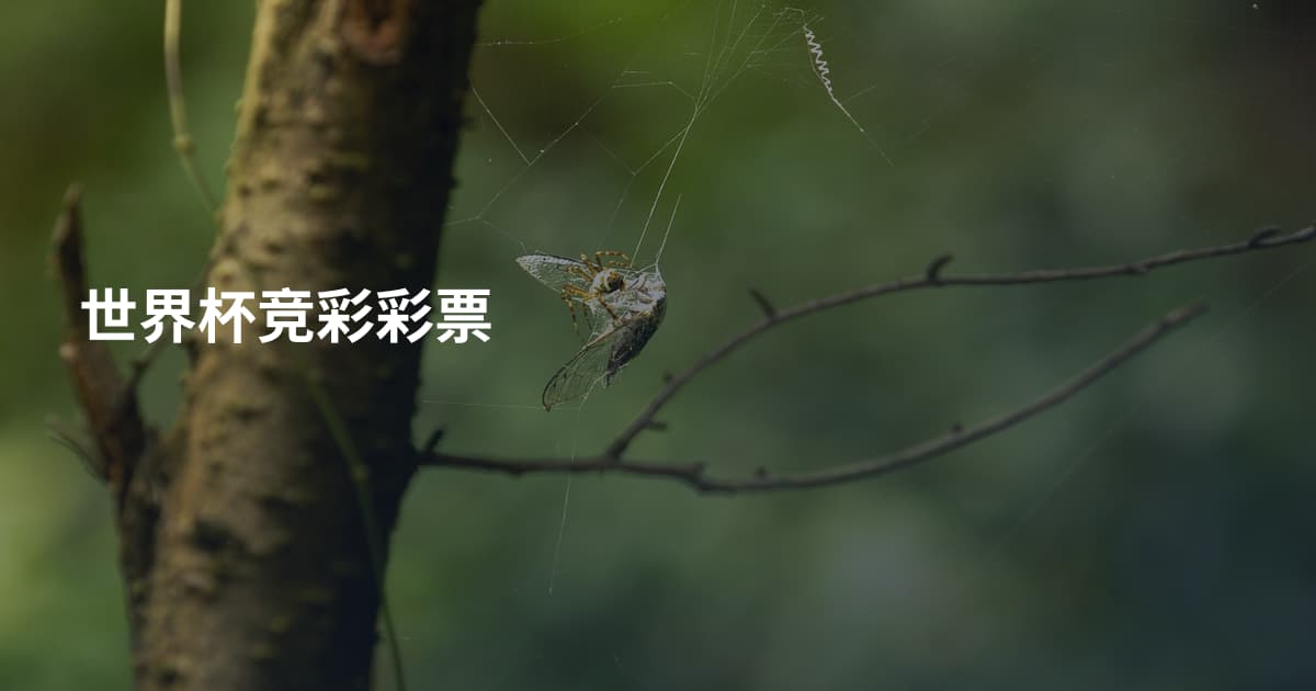 世界杯竞彩彩票