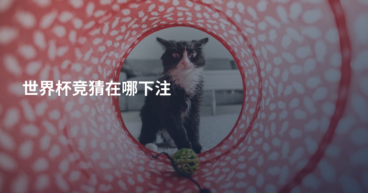 世界杯竞猜在哪下注