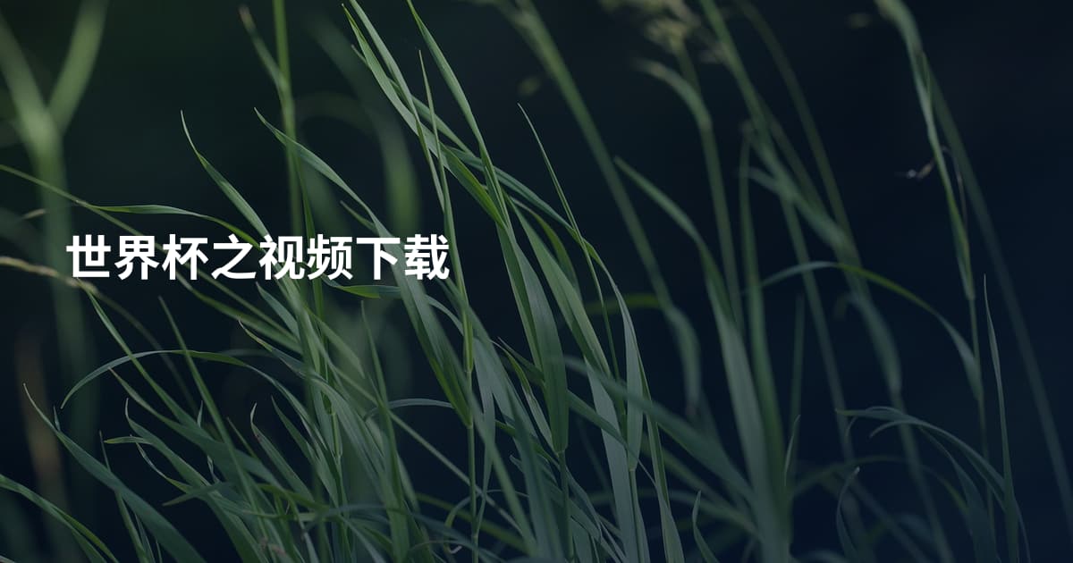 世界杯之视频下载