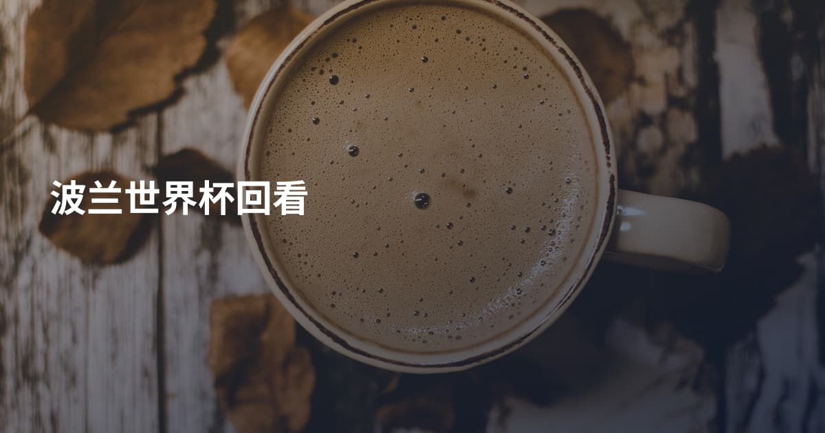 波兰世界杯回看