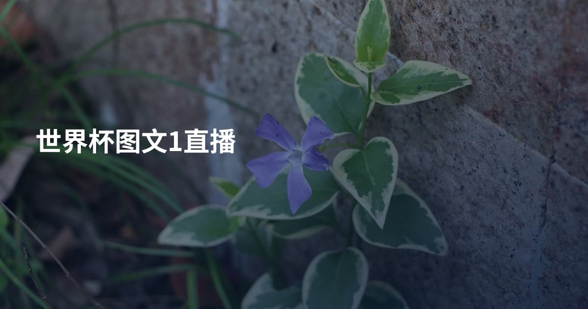 世界杯图文1直播