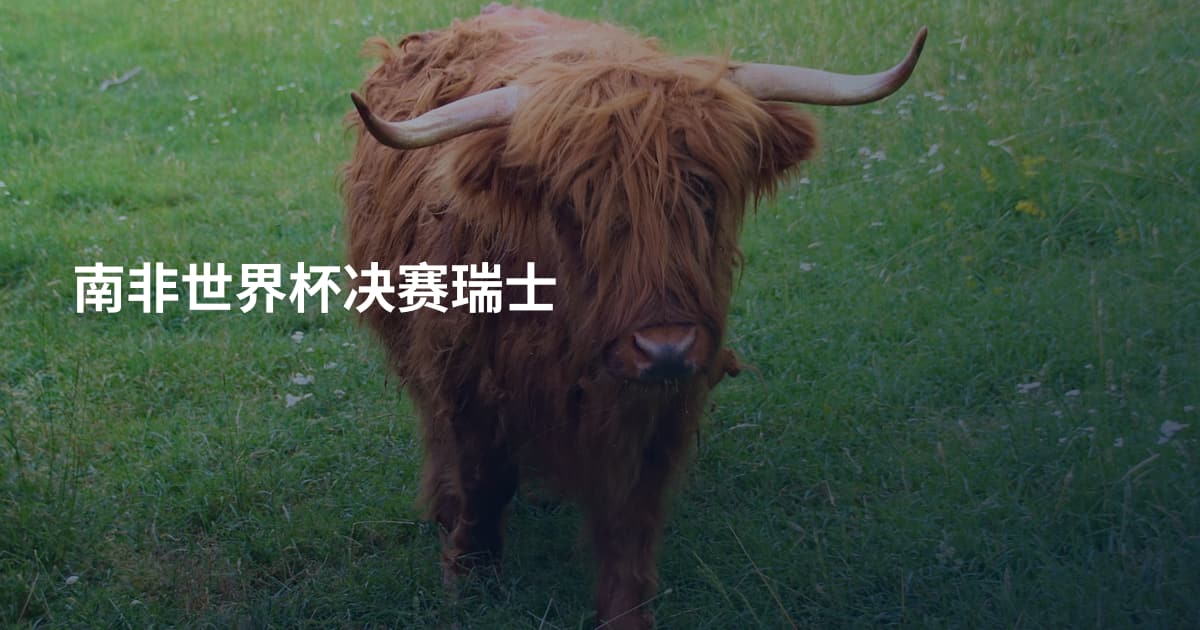南非世界杯决赛瑞士