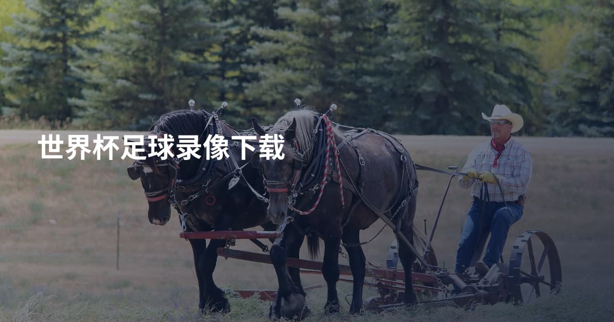 世界杯足球录像下载