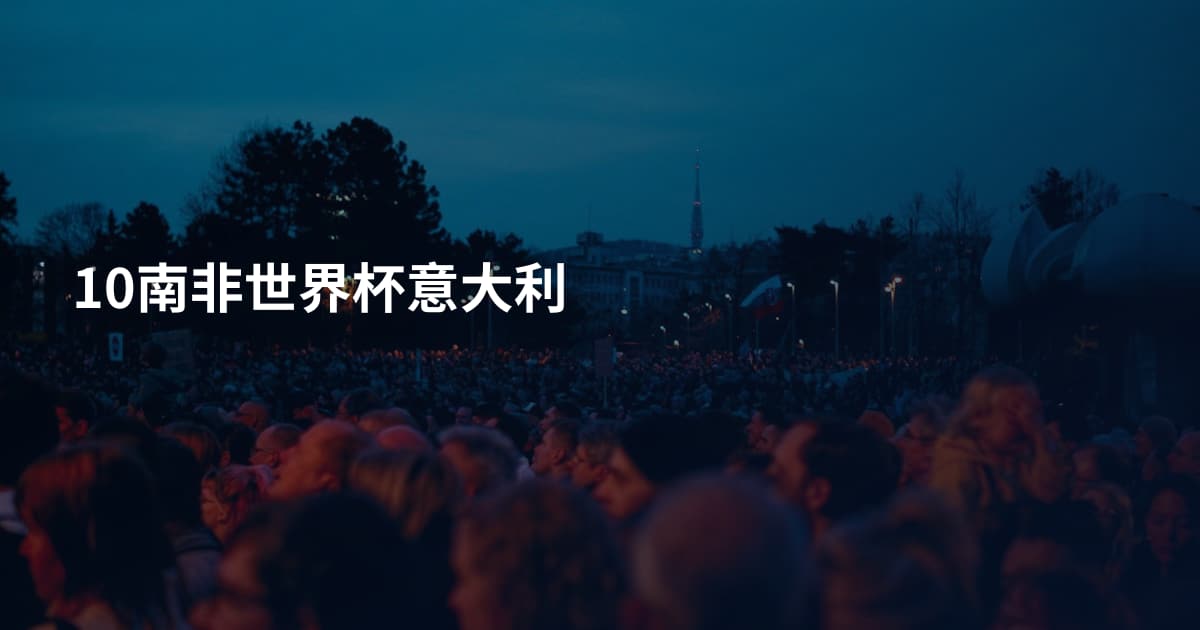 10南非世界杯意大利