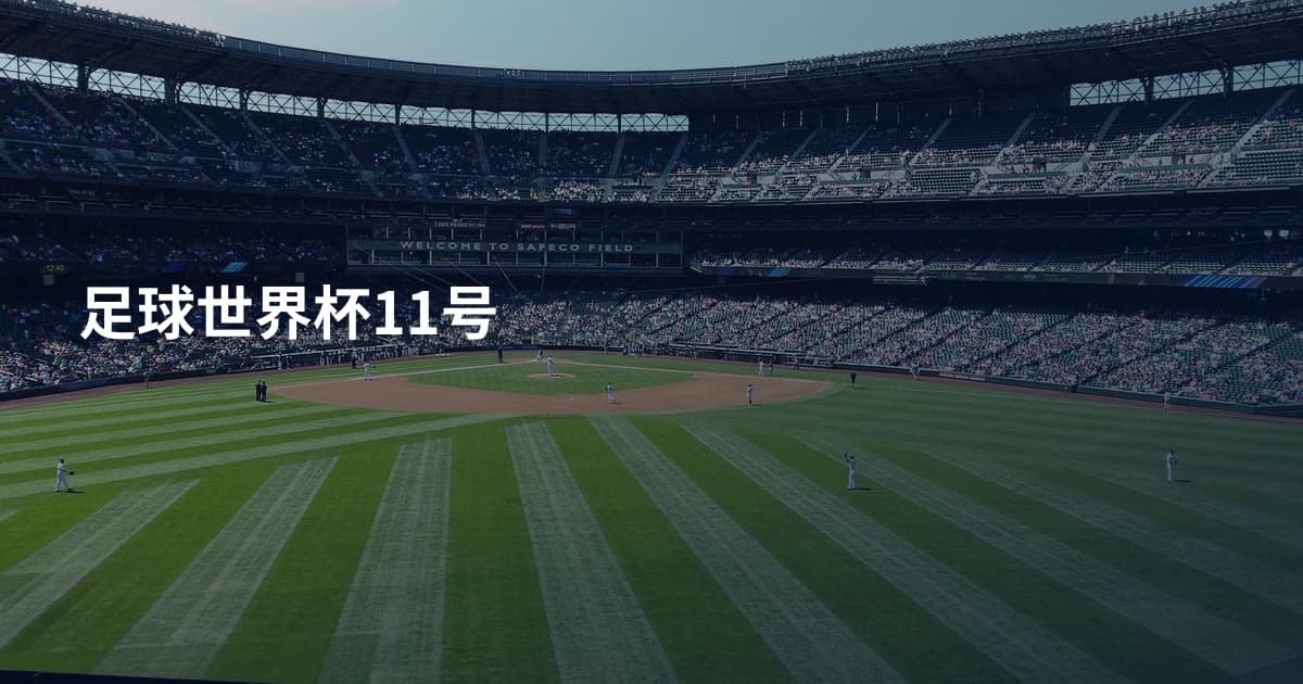 足球世界杯11号