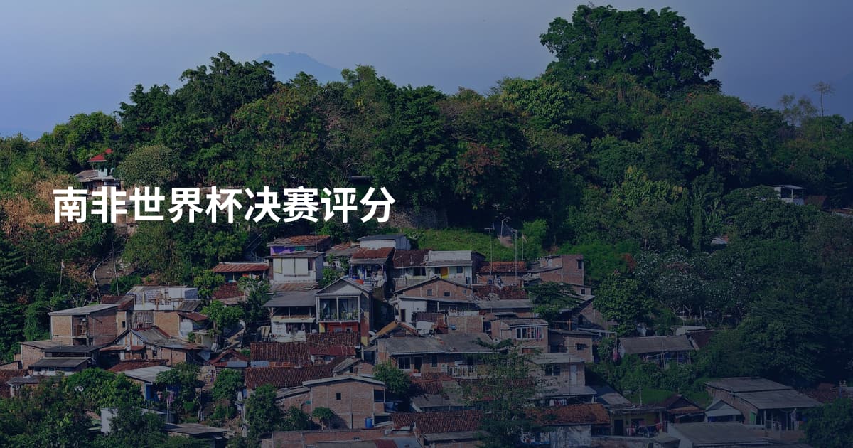 南非世界杯决赛评分