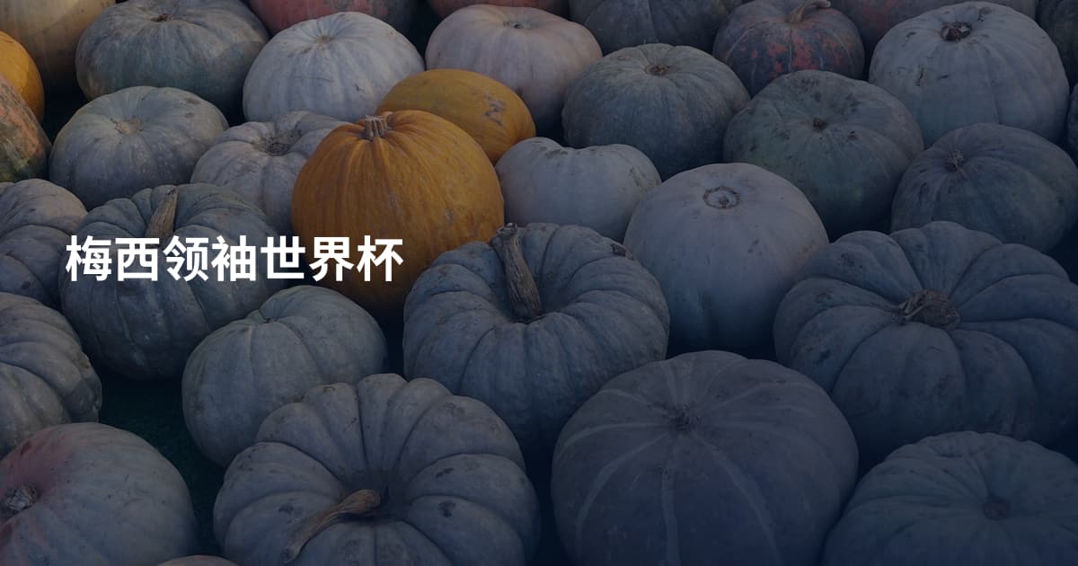 梅西领袖世界杯