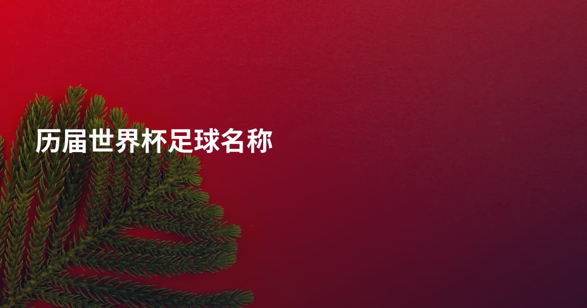 历届世界杯足球名称