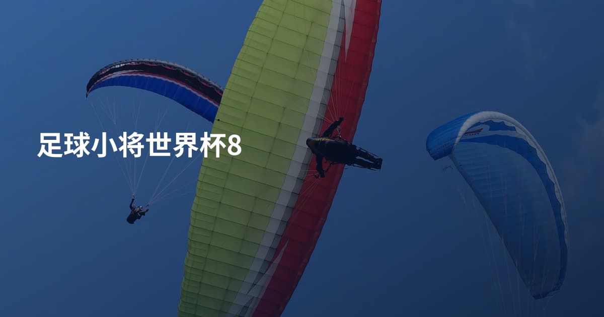足球小将世界杯8