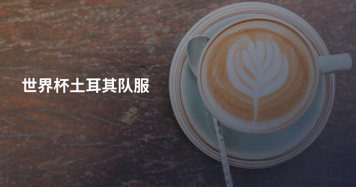 世界杯土耳其队服