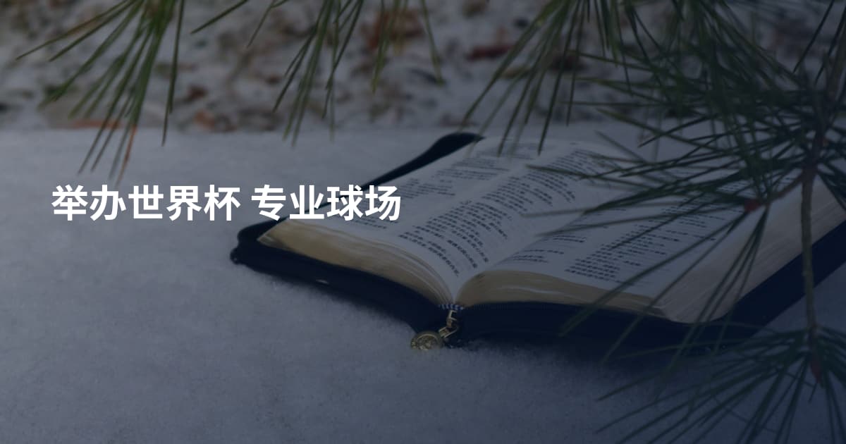 举办世界杯 专业球场