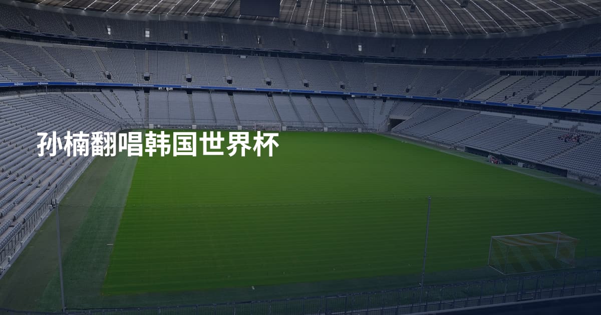 孙楠翻唱韩国世界杯