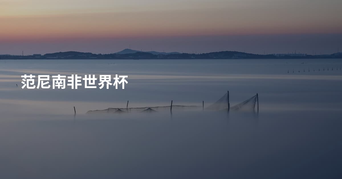 范尼南非世界杯