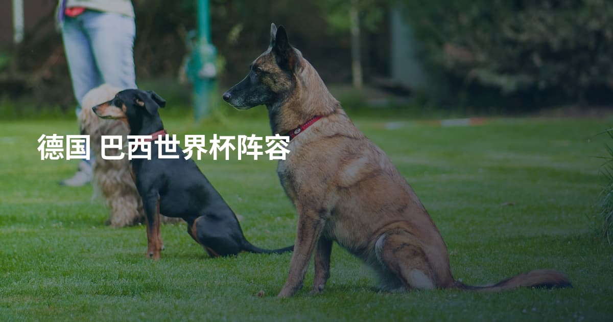 德国 巴西世界杯阵容