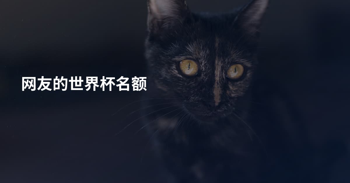网友的世界杯名额