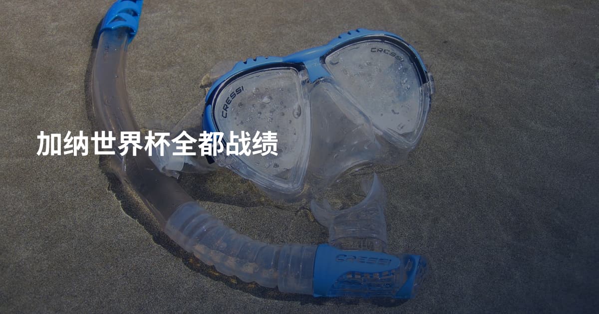 加纳世界杯全都战绩