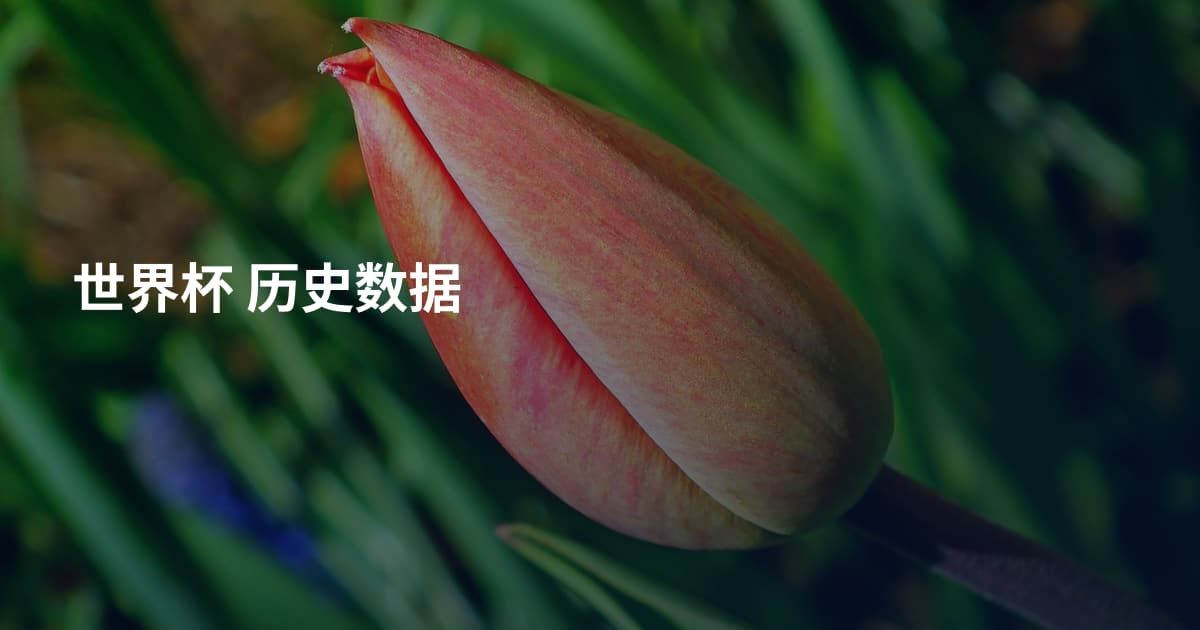 世界杯 历史数据
