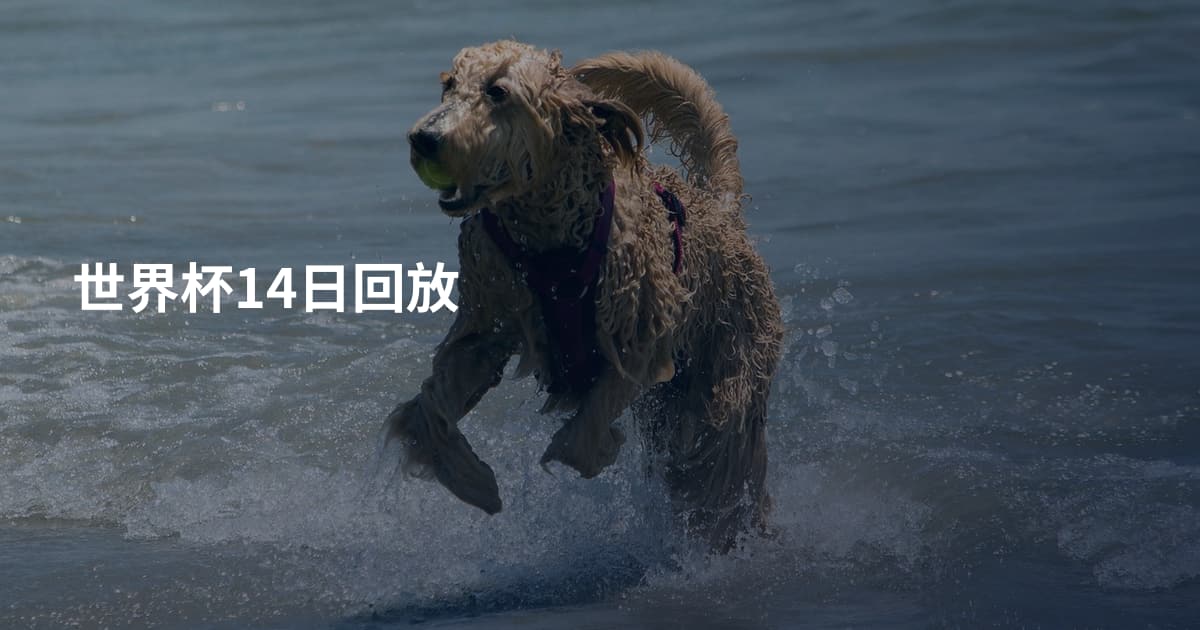 世界杯14日回放