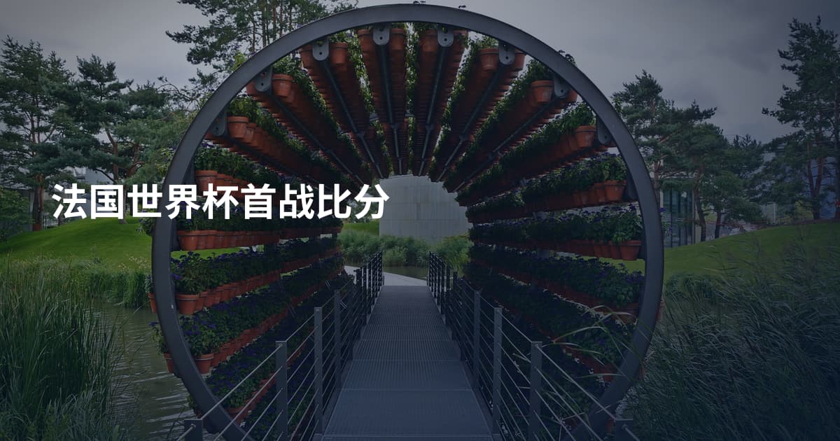法国世界杯首战比分