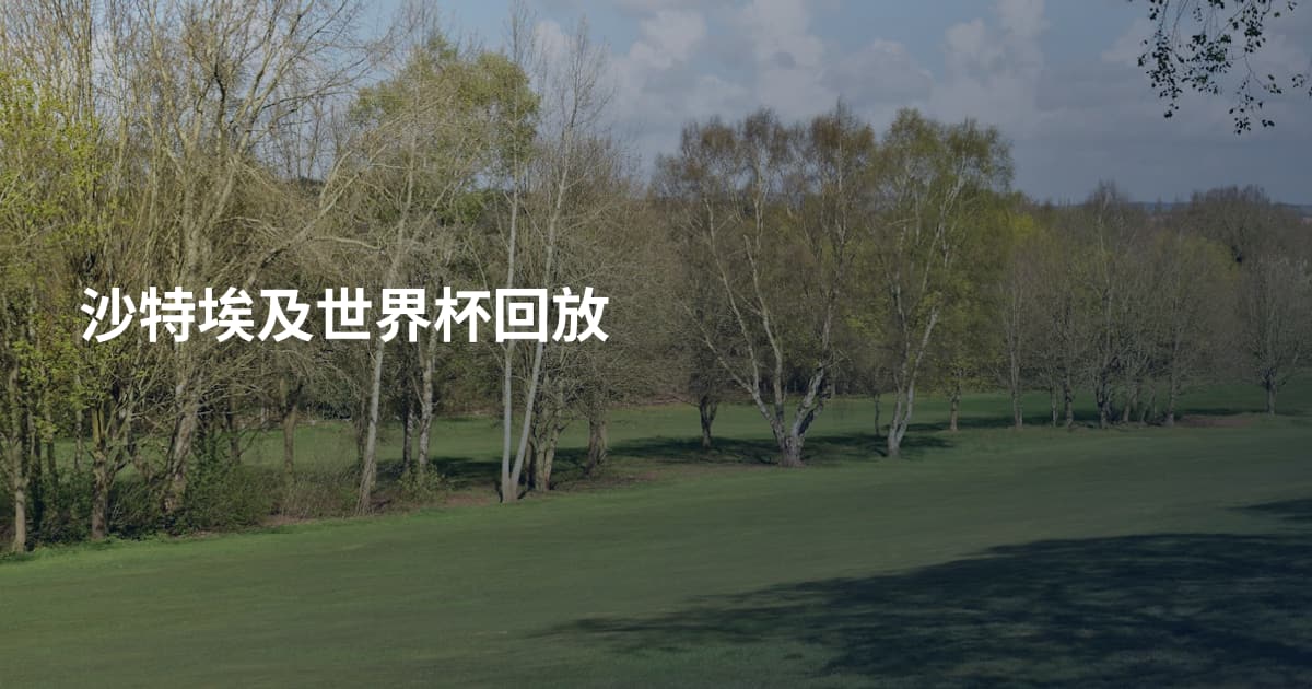 沙特埃及世界杯回放