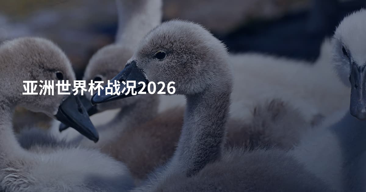 亚洲世界杯战况2026