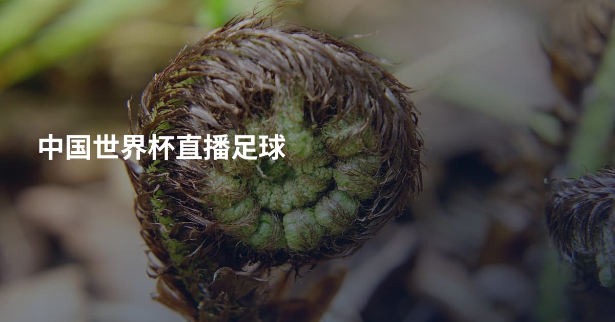 中国世界杯直播足球