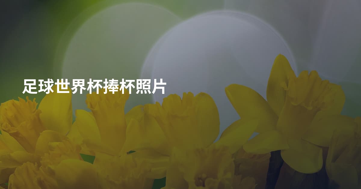 足球世界杯捧杯照片