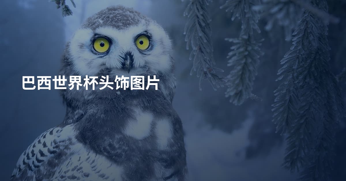 巴西世界杯头饰图片