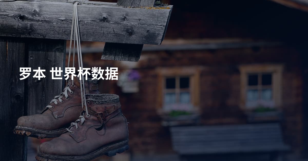罗本 世界杯数据