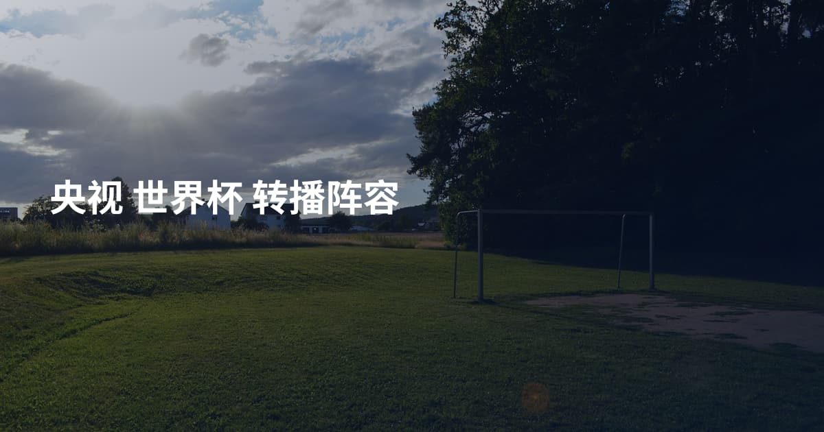 央视 世界杯 转播阵容