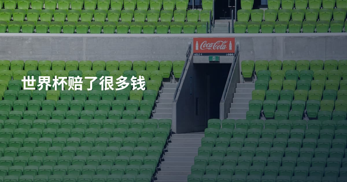 世界杯赔了很多钱