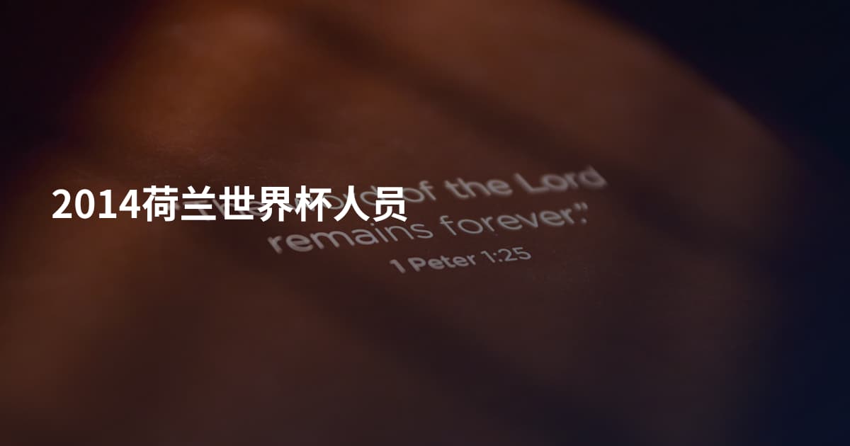 2014荷兰世界杯人员