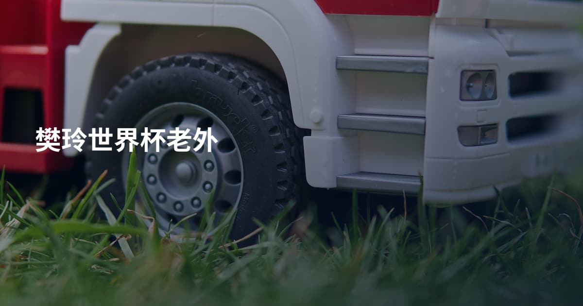 樊玲世界杯老外