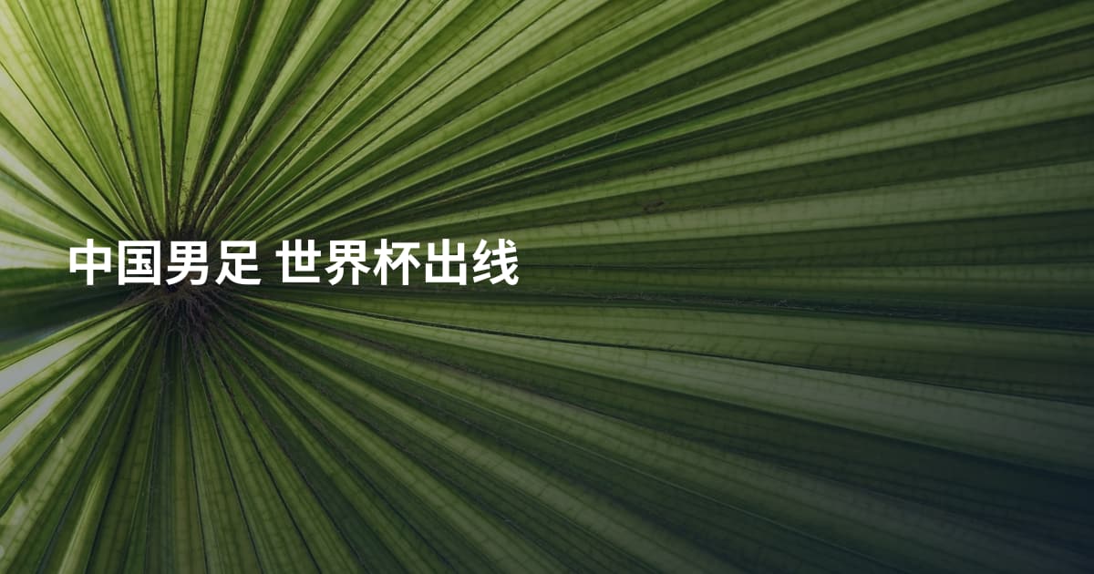 中国男足 世界杯出线