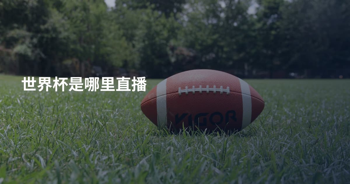 世界杯是哪里直播