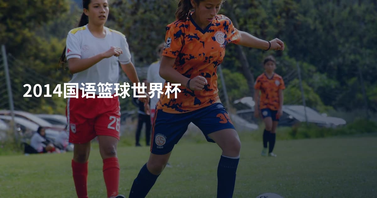 2014国语篮球世界杯