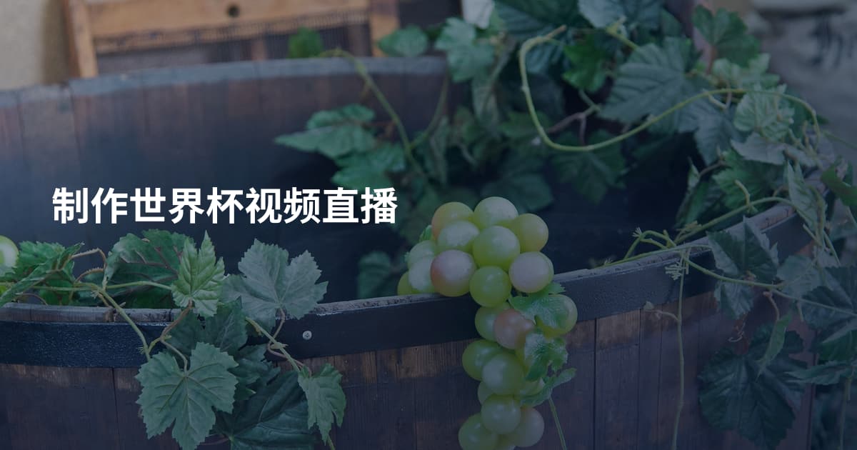 制作世界杯视频直播