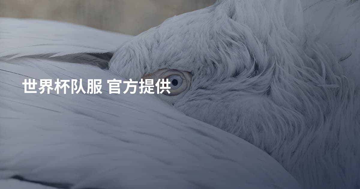 世界杯队服 官方提供